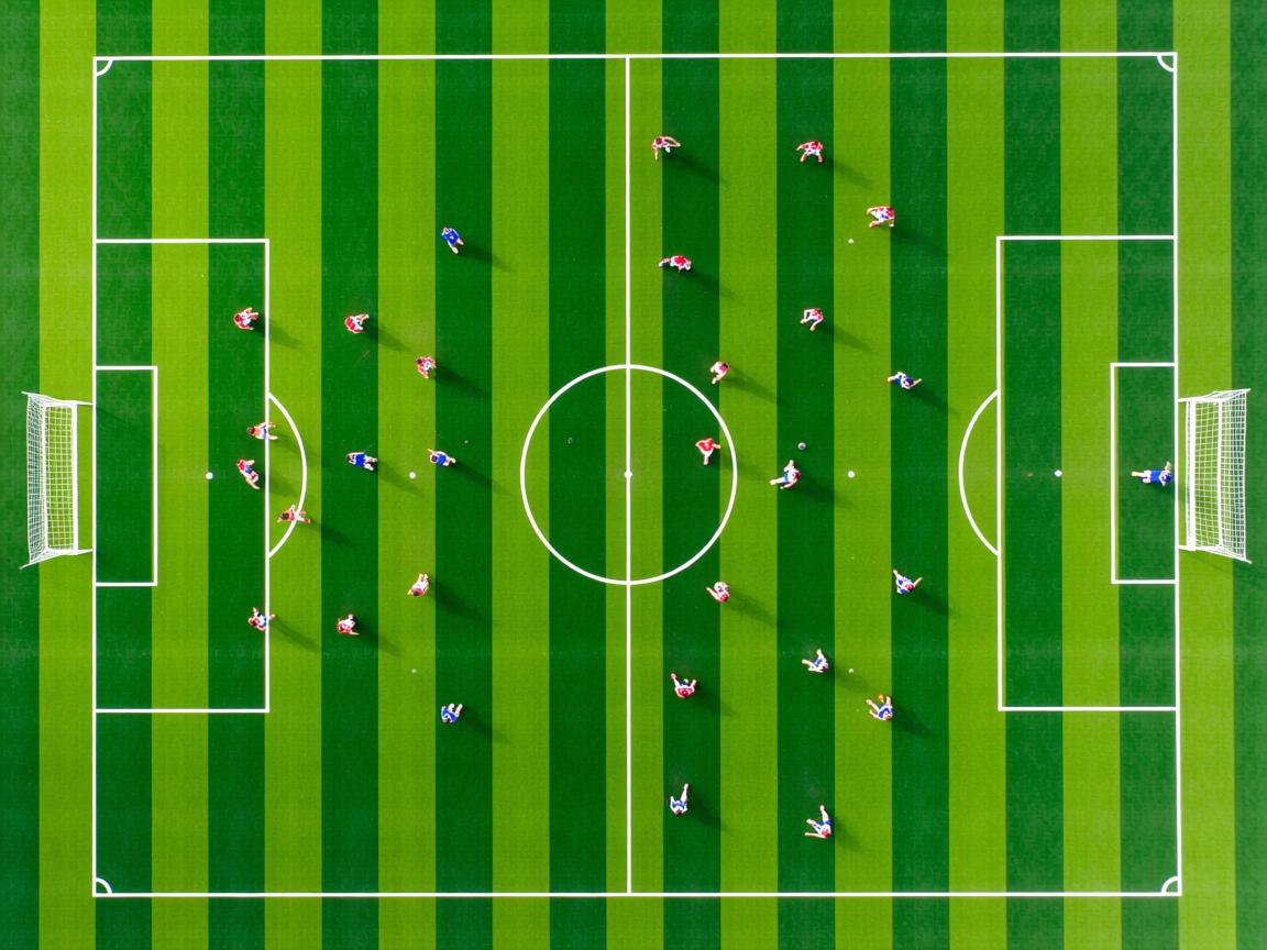 开yun官网-体育明星短剧上线引发全民健身热潮，体育明星的视频  第3张