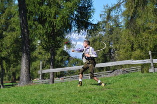 开云体育app入口-兴隆湖上演水上马拉松速度盛宴，兴隆湖开了没  第2张