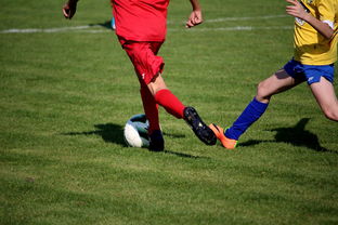 开云体育-国家体育场馆运营管理论坛探讨智能化方向，国家体育总局体育场馆运营管理办法